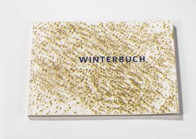 27 Fotos von Winterlandschaften